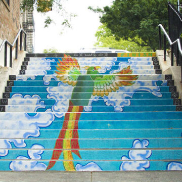 bronx-steps-health-16x9.