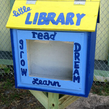 little-library-2.